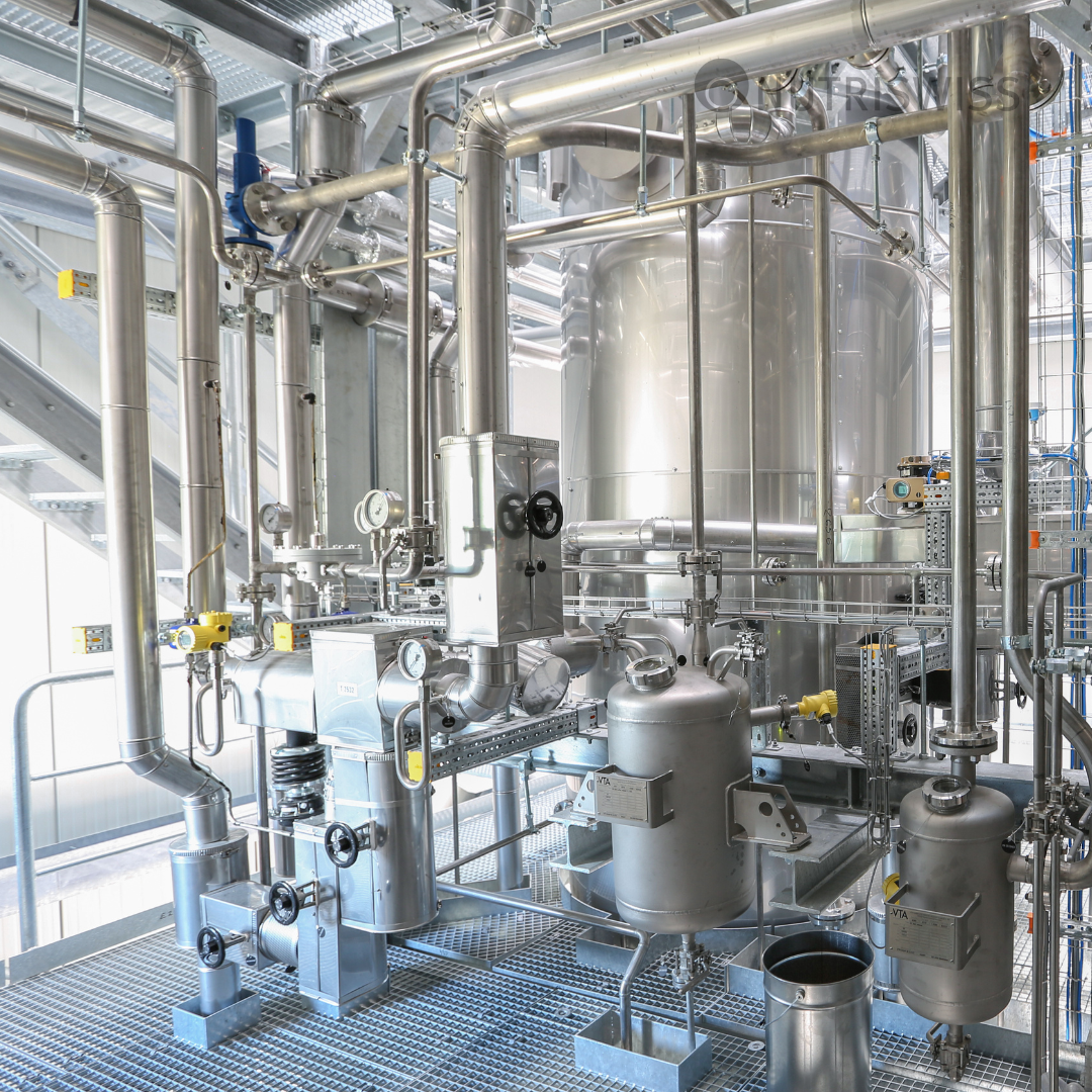 Highly purified oils